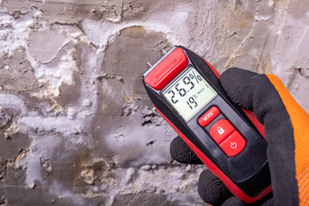 Best Commercial Mold Removal  in Clisle, AR