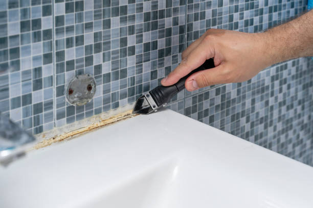 Best Certified Mold Removal  in Clisle, AR